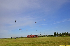 Venice kite festival_0622